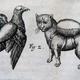 Image for article titled Amazing German Prince Wanted to Create 'Rocket Cats.'